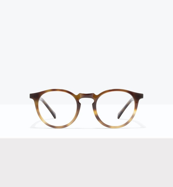 Offline Tort--front_image