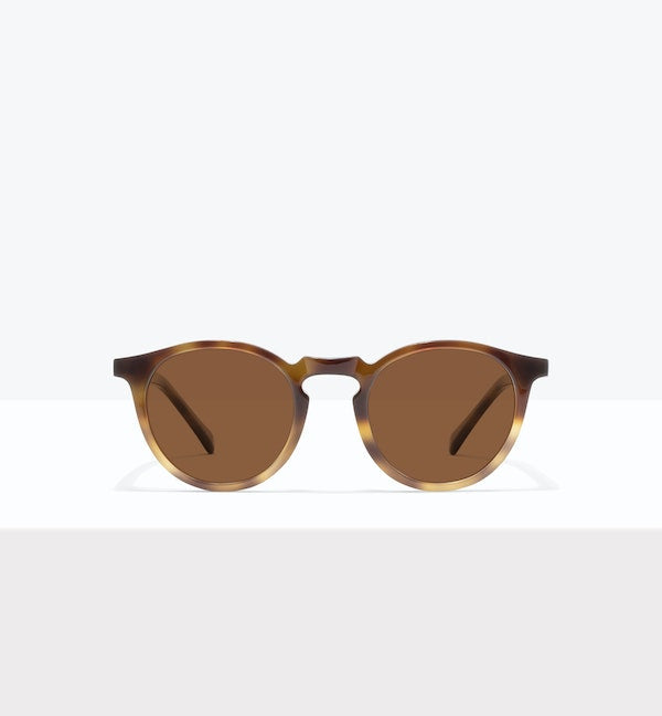 Offline Tort--front_image_sun
