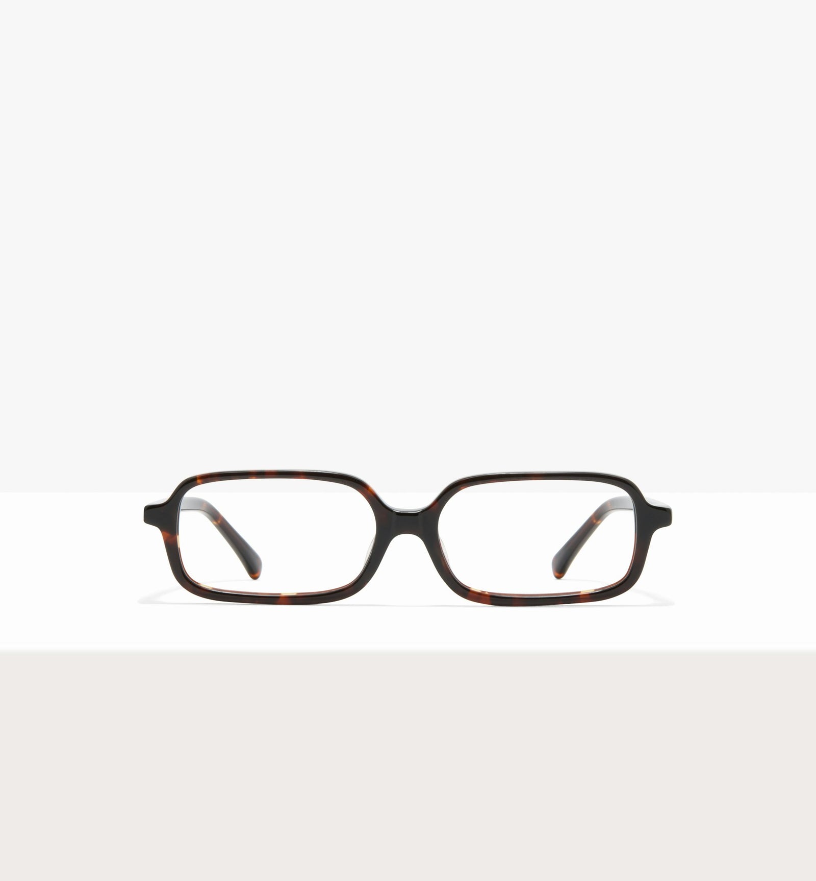 Brown Tort--front_image