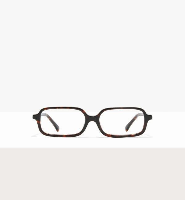 Brown Tort--front_image