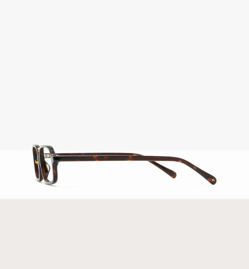 Brown Tort--side_image