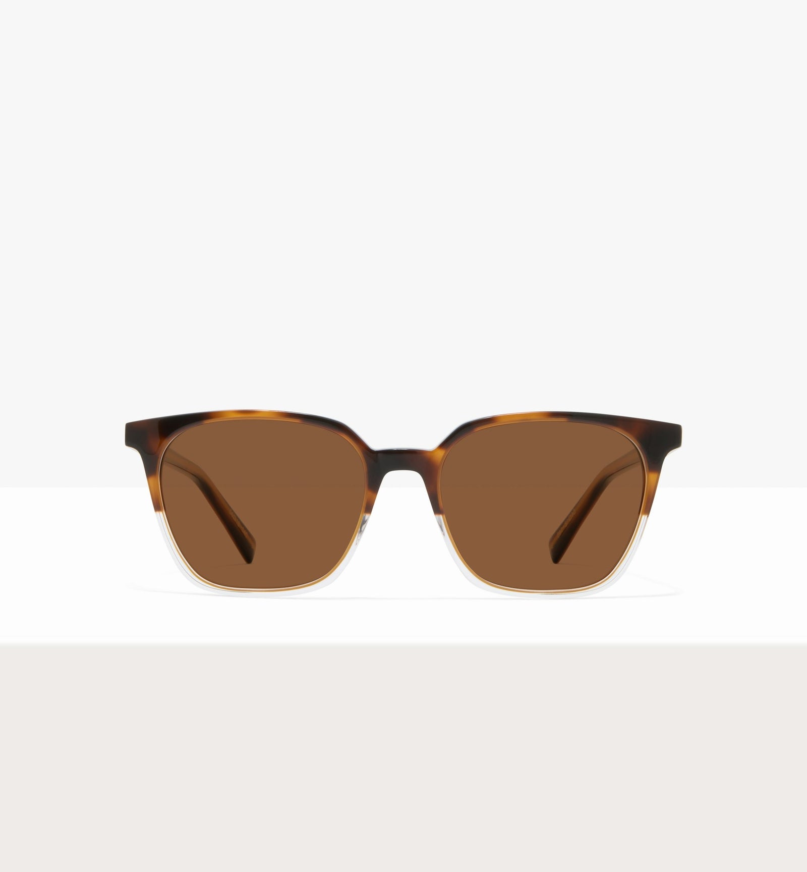 Brown Tort--front_image_sun