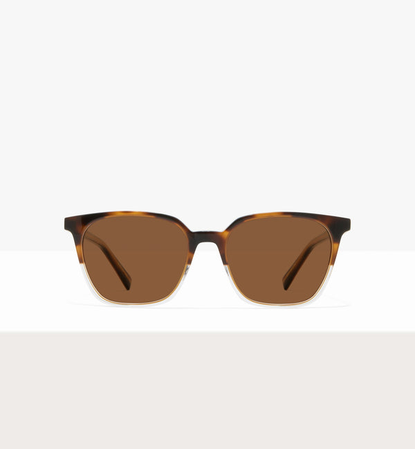 Brown Tort--front_image_sun