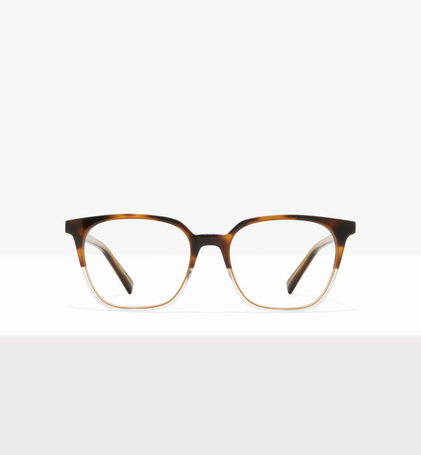 Brown Tort--front_image