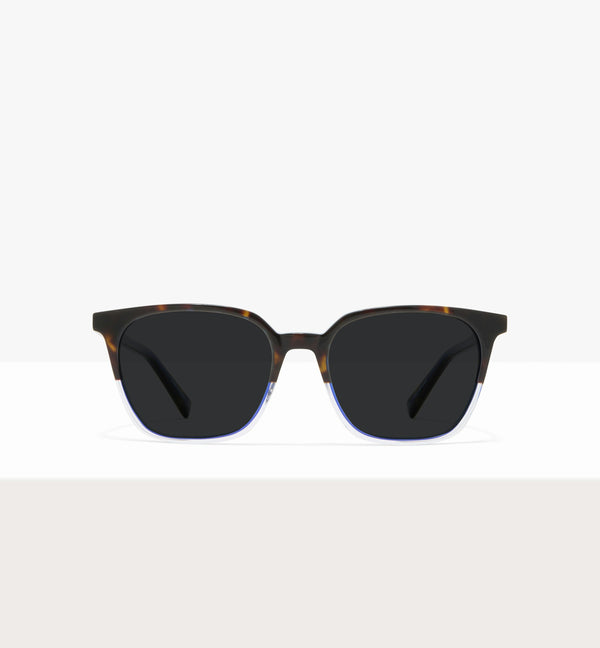 Dark Brown Tort--front_image_sun