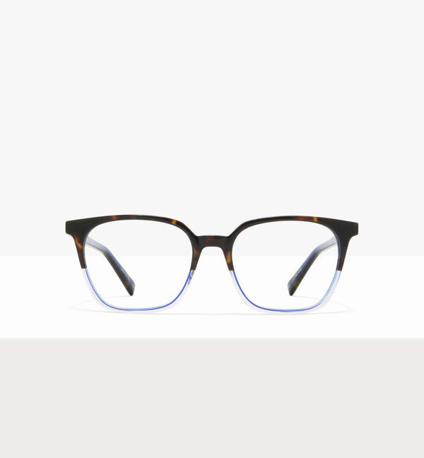 Dark Brown Tort--front_image