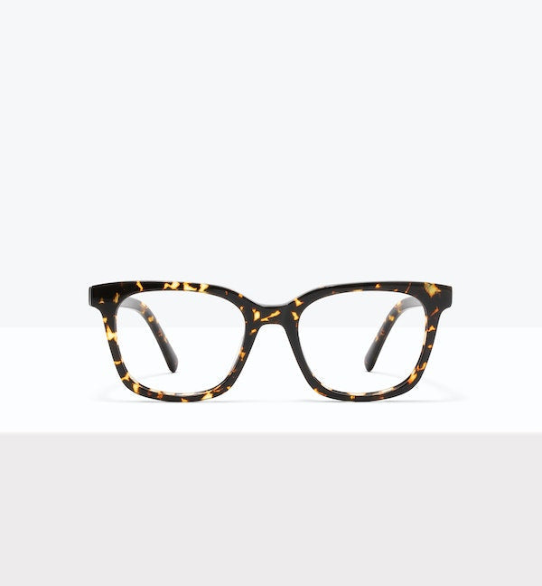 Dark Tort--front_image