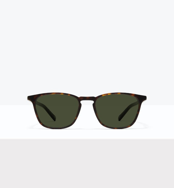 Écaille mat -- image_de_face_soleil