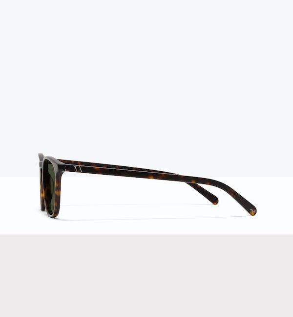 Matte Tort -- image_sun