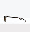Matte Tort -- image_sun
