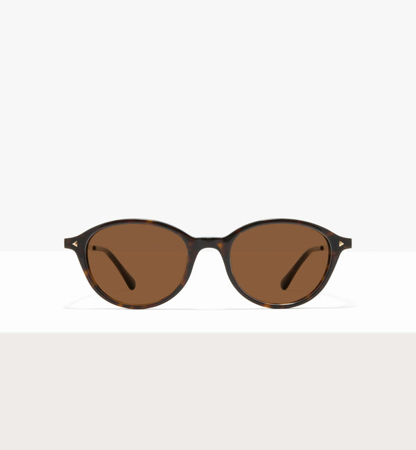 Brown Tort -- image_de_couverture_soleil