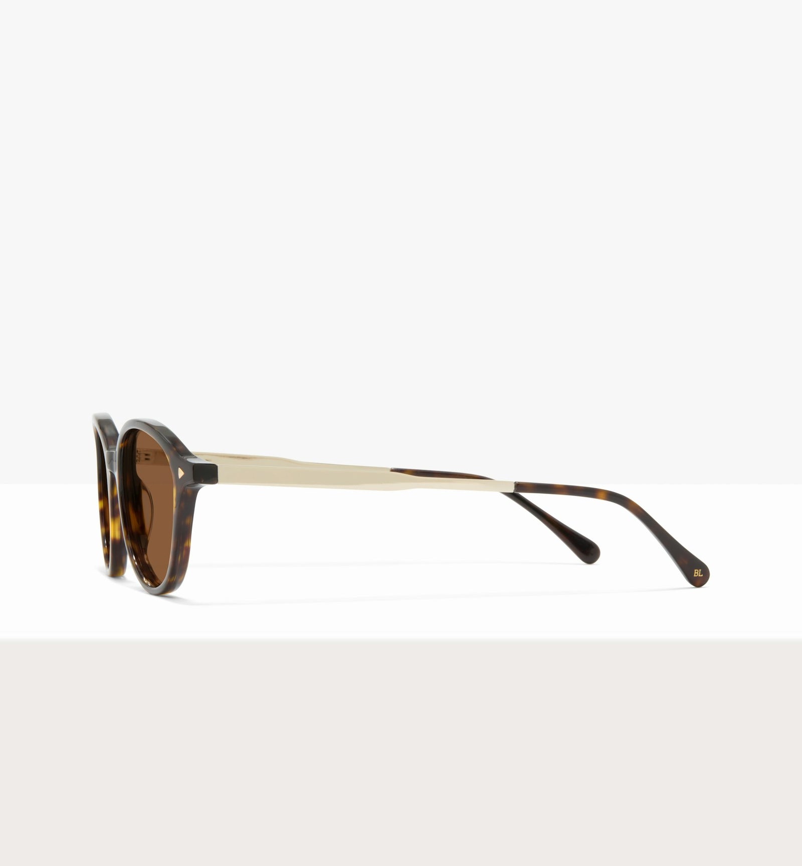Brown Tort--side_image_sun