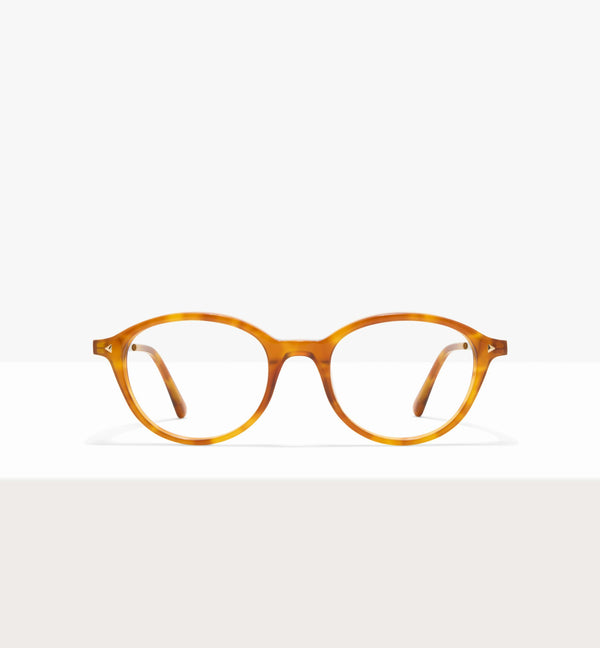 Golden Tort--front_image