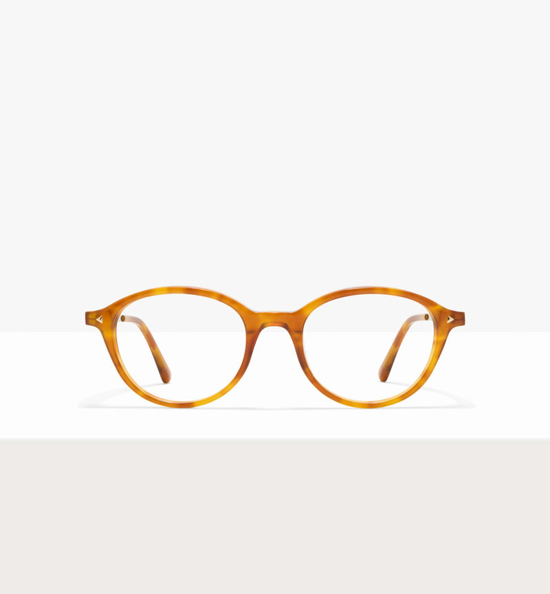 Golden Tort--front_image