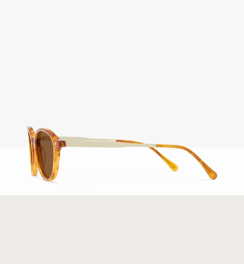 Golden Tort -- image_latérale_soleil
