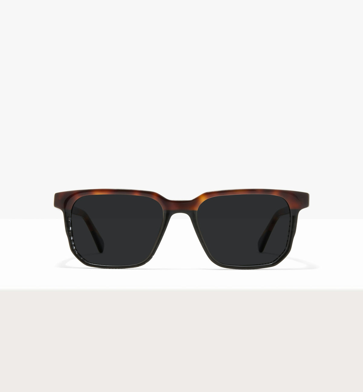 Brun foncé tigré -- image_de_face_soleil