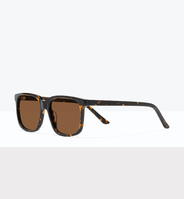 Shadow Tort--angled_image_sun