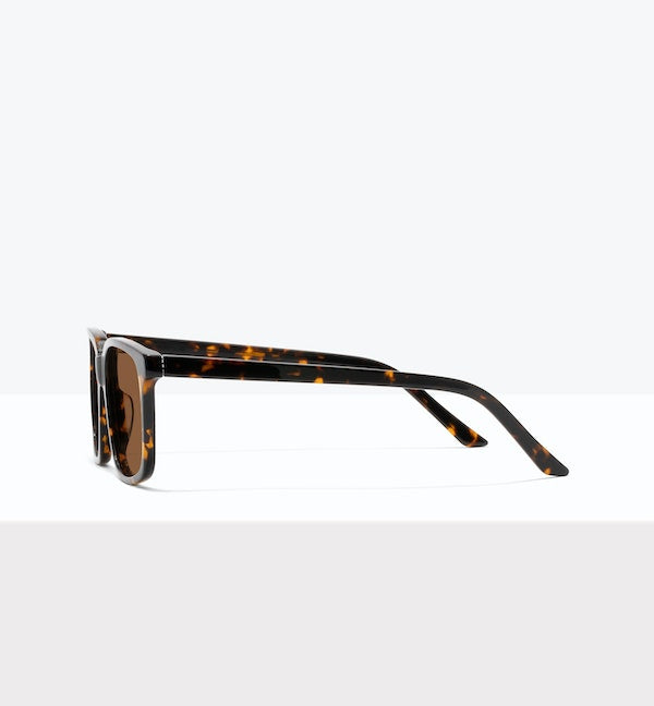 Shadow Tort--side_image_sun