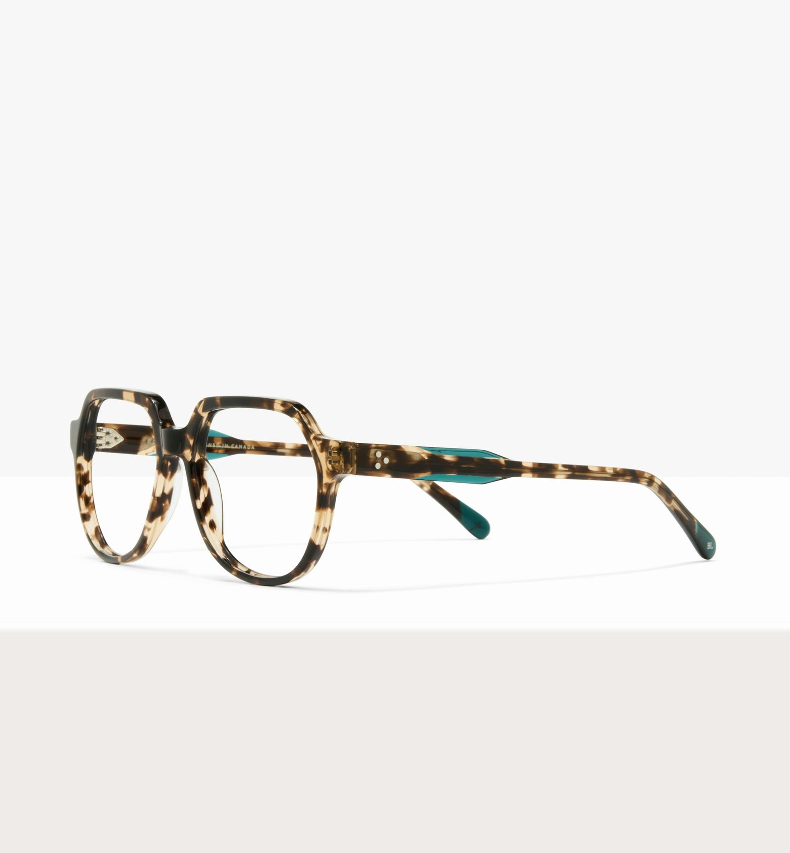 Leopard--angled_image