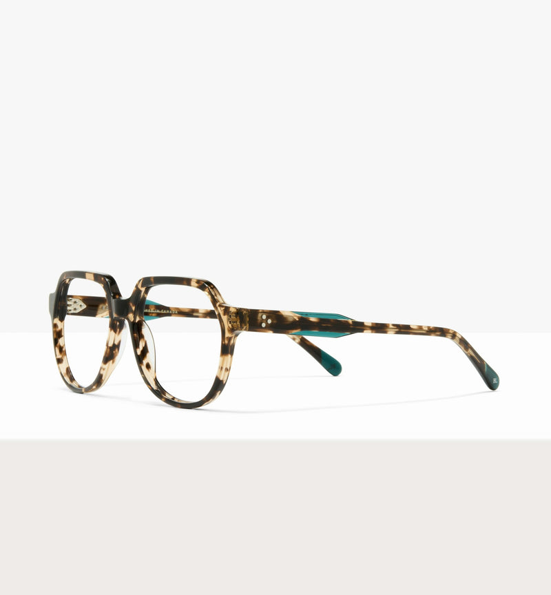 Leopard--angled_image