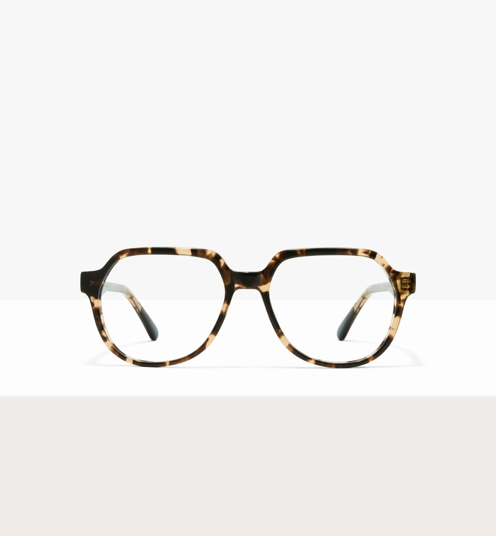 Leopard--front_image