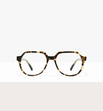 Leopard--front_image