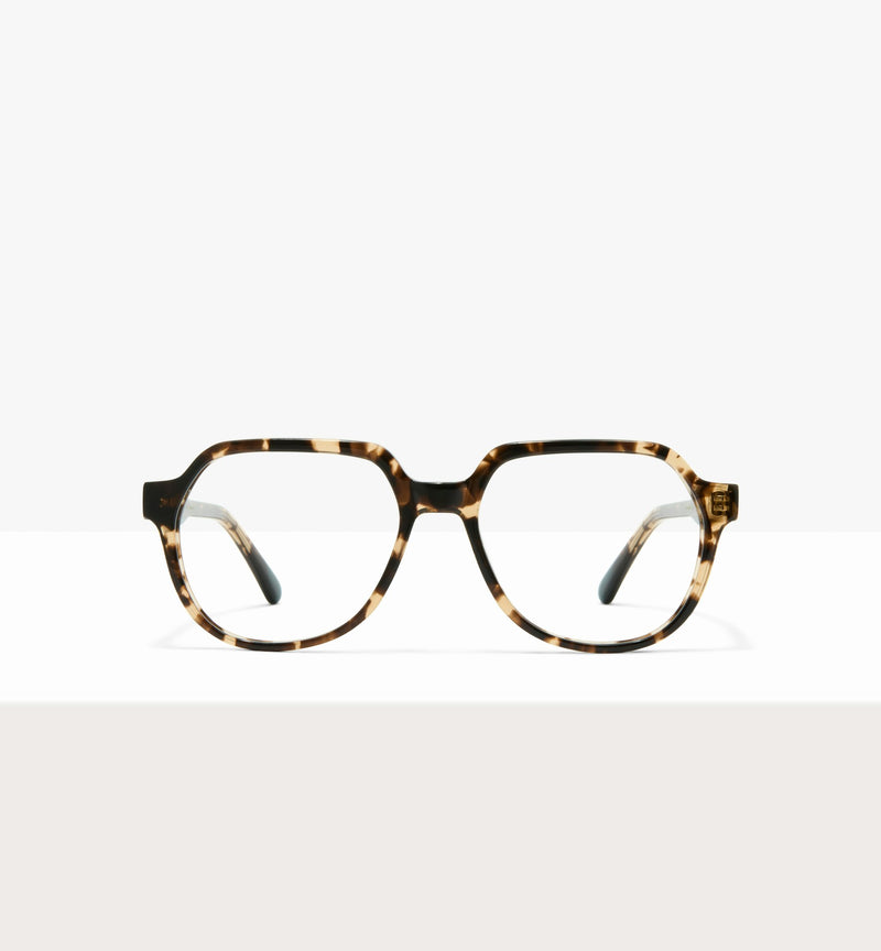 Leopard--front_image