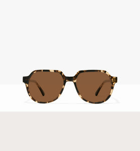 Leopard--front_image_sun