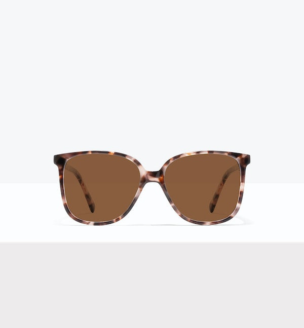 Reef Tort--front_image_sun