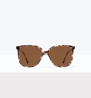 Reef Tort--front_image_sun