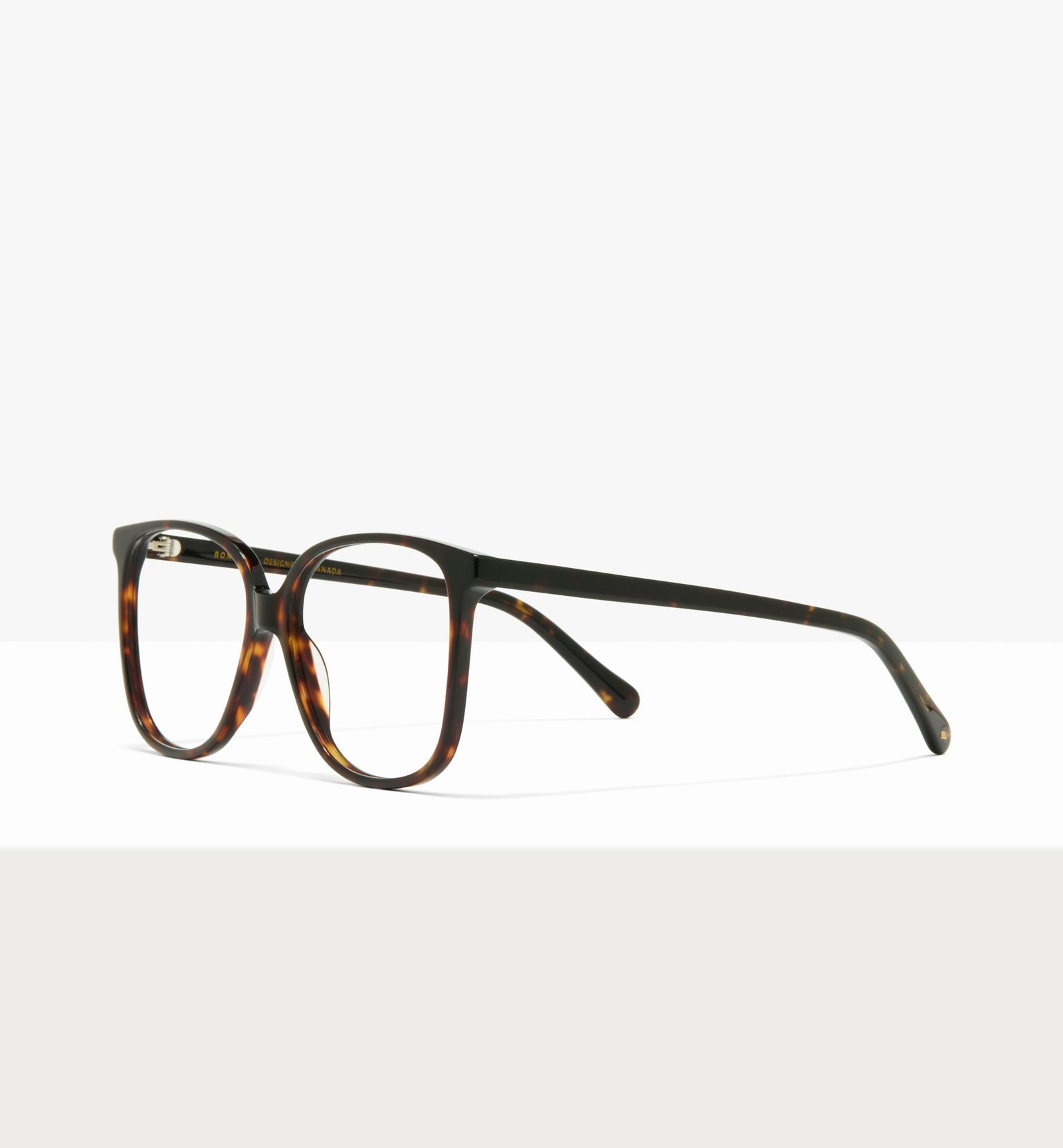 Brown Tort -- image_du_soleil_en_angle