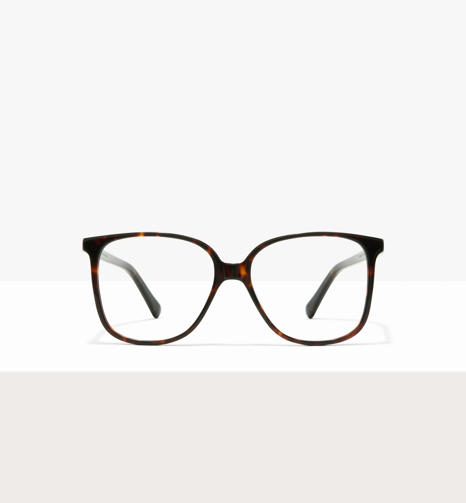Brown Tort -- image de couverture