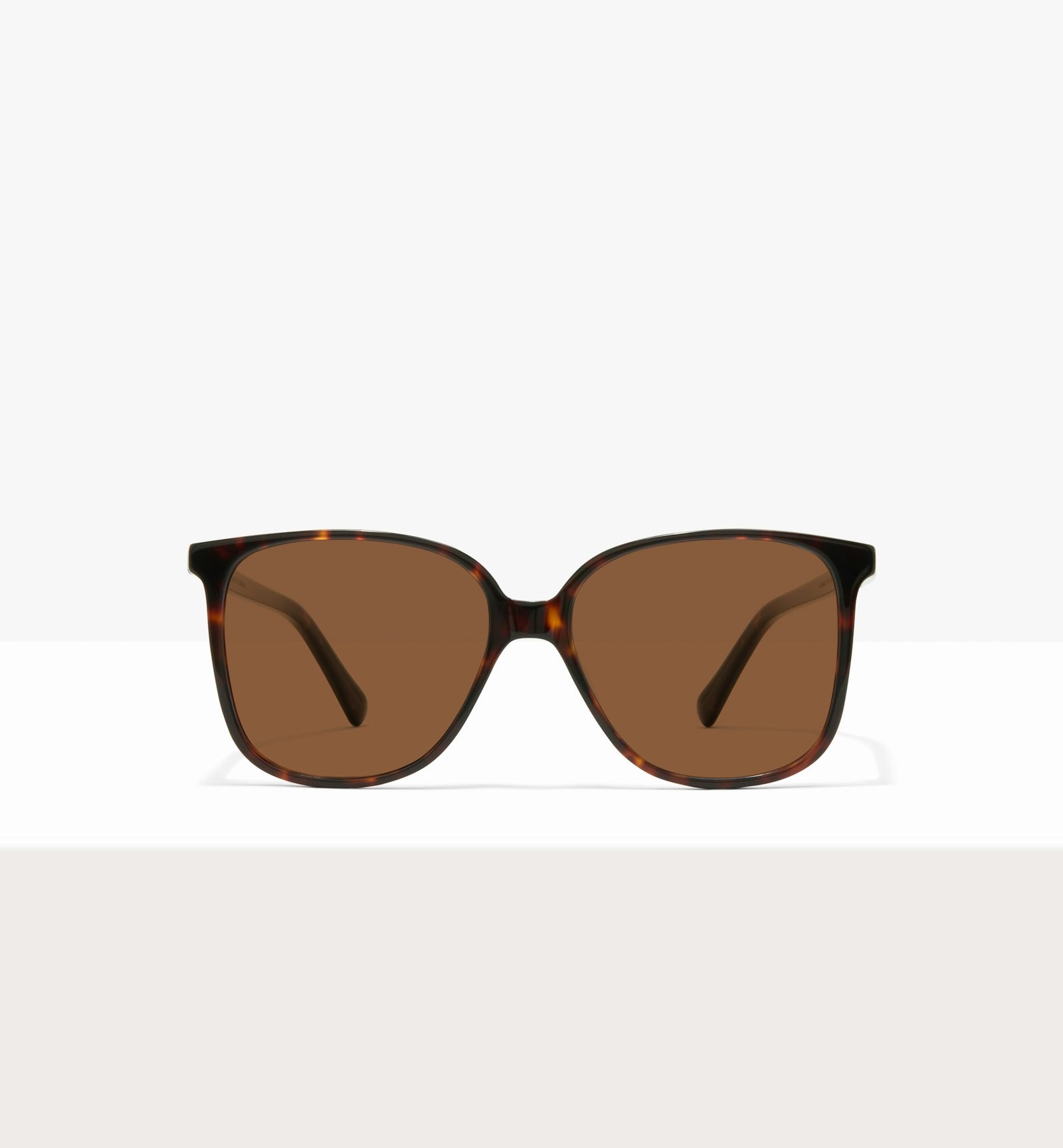 Brown Tort -- image_de_couverture_soleil