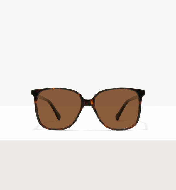 Brown Tort -- image_de_couverture_soleil