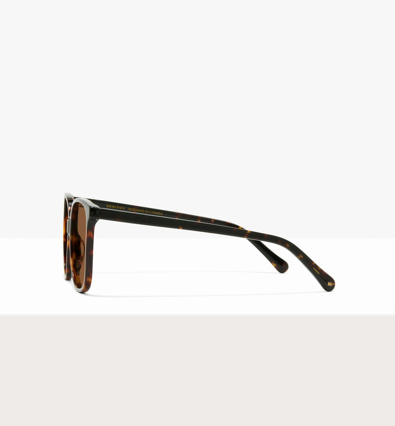 Brown Tort--side_image_sun