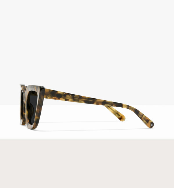 Brown Tort--side_image_sun