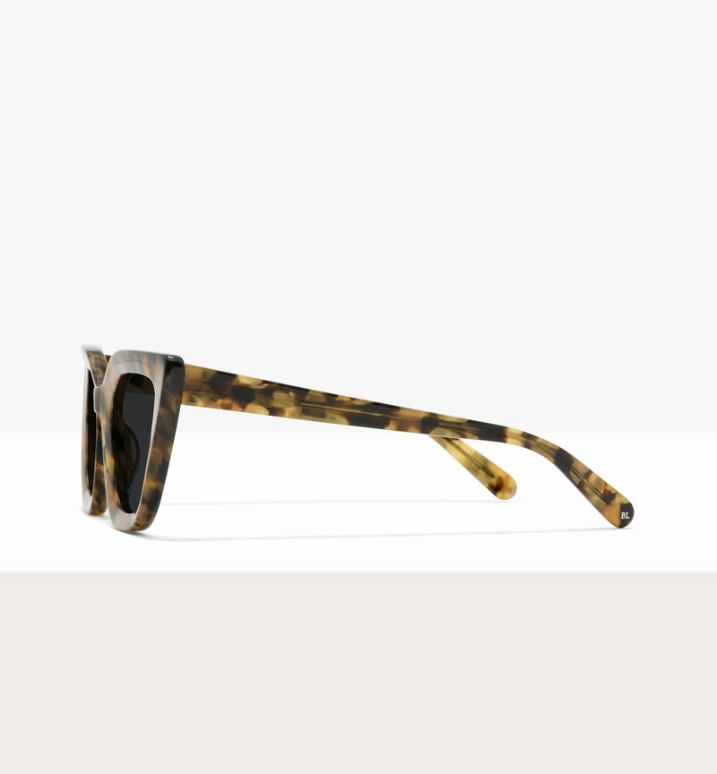 Brown Tort--side_image_sun