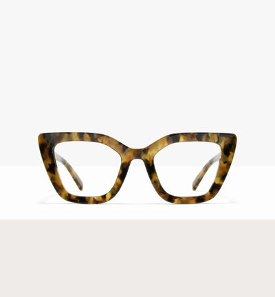 Brown Tort--front_image