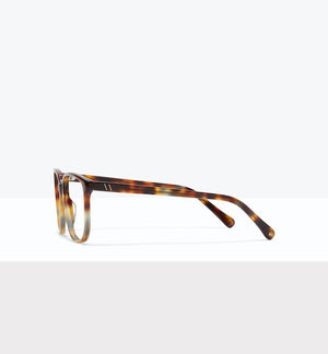 Gradient Tort--side_image