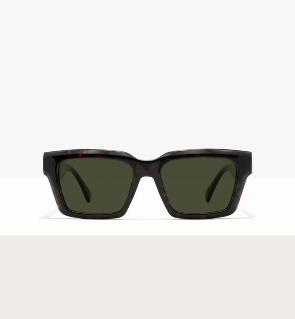 Dark Brown Tort--front_image_sun