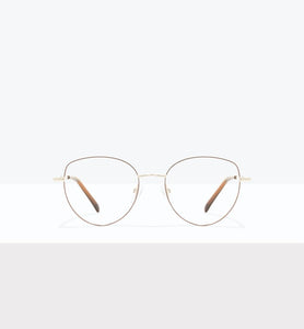 Brown Gold--front_image