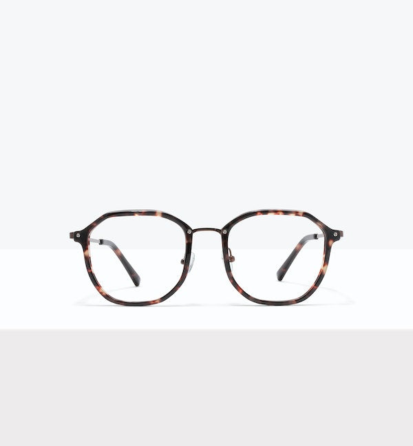 Dark Cherry Tort--front_image