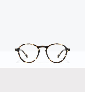 Eclipse Tort--front_image