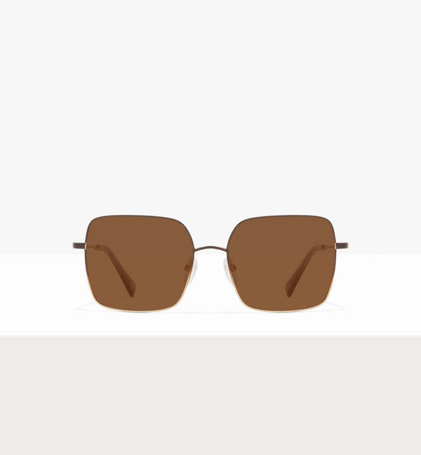 Brown Gradient--front_image_sun