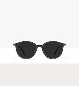 Branch--front_image_sun