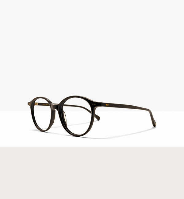 Branch--angled_image