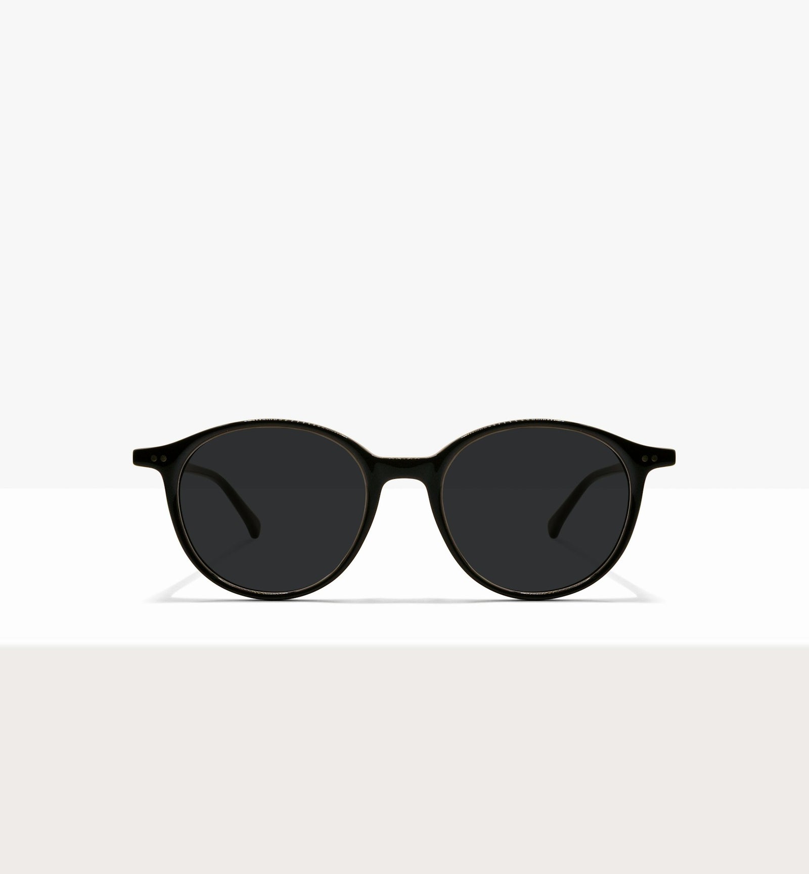 Branch--front_image_sun