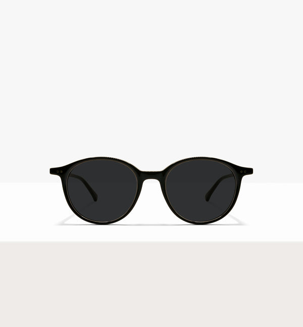 Branch--front_image_sun