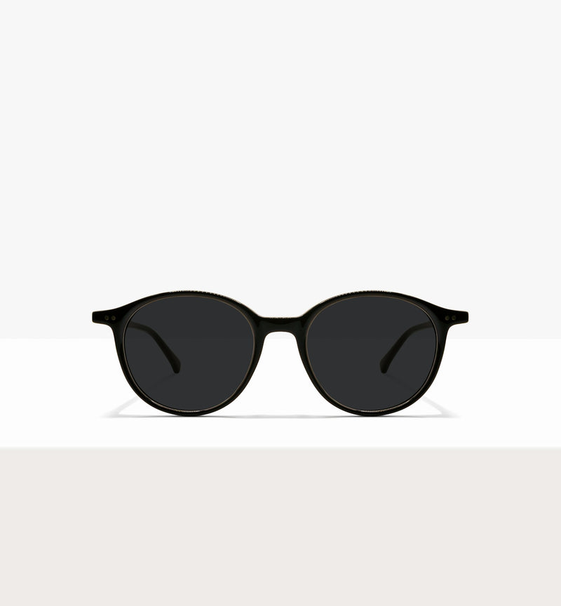 Branch--front_image_sun