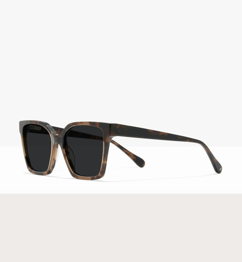Dark Brown Tort--angled_image_sun